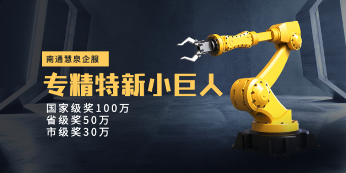启东信息咨询专精特新服务至上