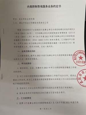 内部控制咨询服务业务约定书(湖北中信会计师事务有限责任公司)